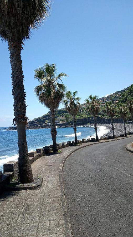 Lazy Lizard By The Ocean Seixal (Madeira) Exterior foto