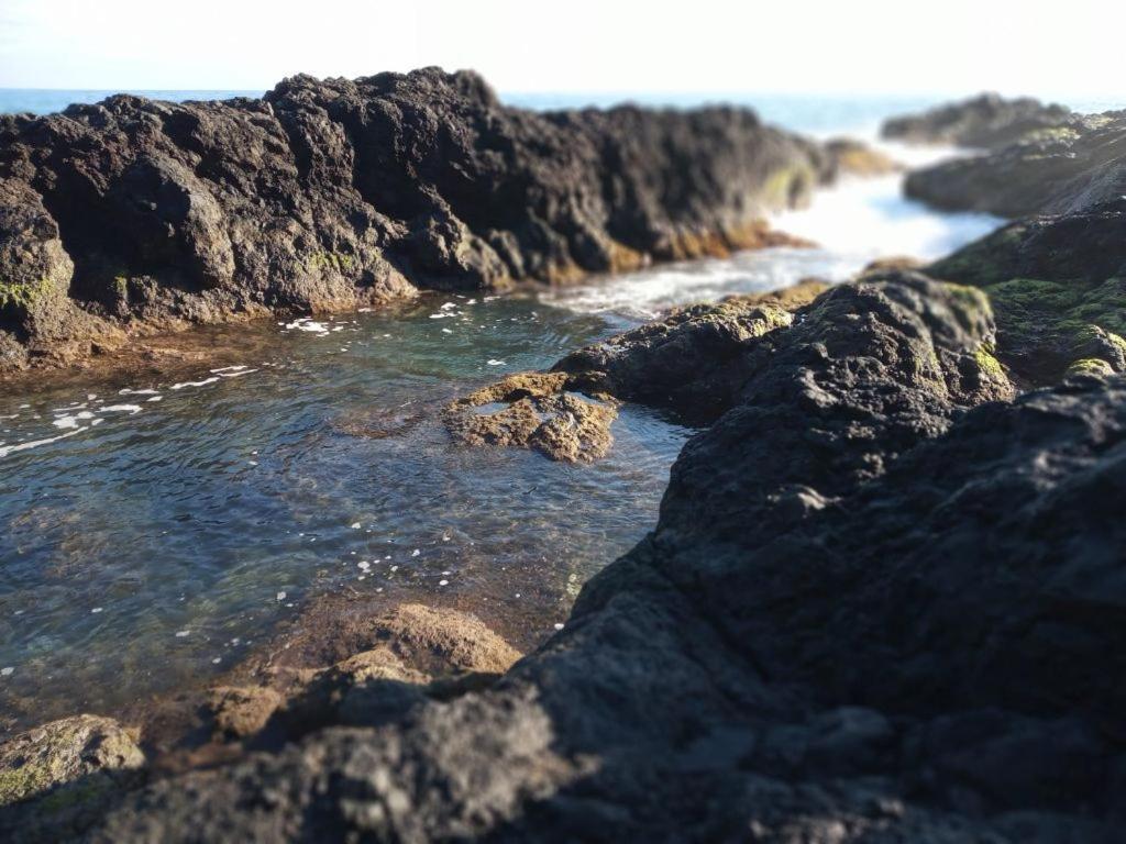 Lazy Lizard By The Ocean Seixal (Madeira) Exterior foto