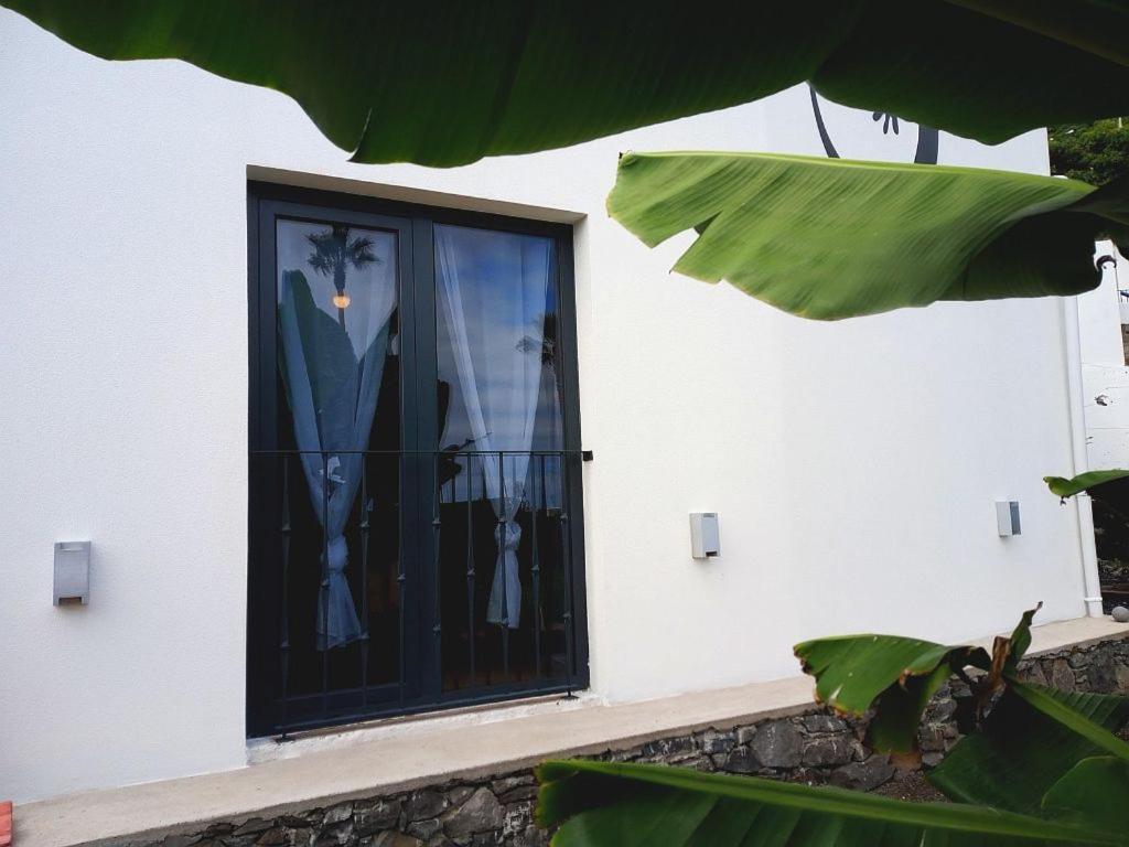 Lazy Lizard By The Ocean Seixal (Madeira) Exterior foto