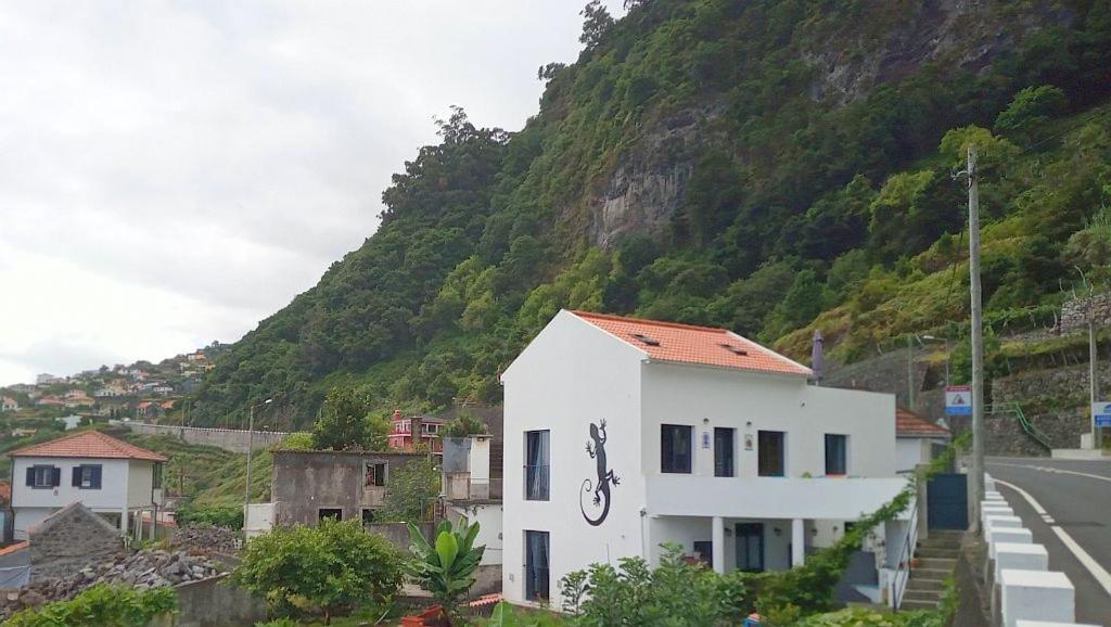 Lazy Lizard By The Ocean Seixal (Madeira) Exterior foto