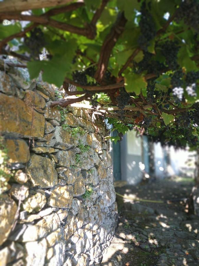 Lazy Lizard By The Ocean Seixal (Madeira) Exterior foto