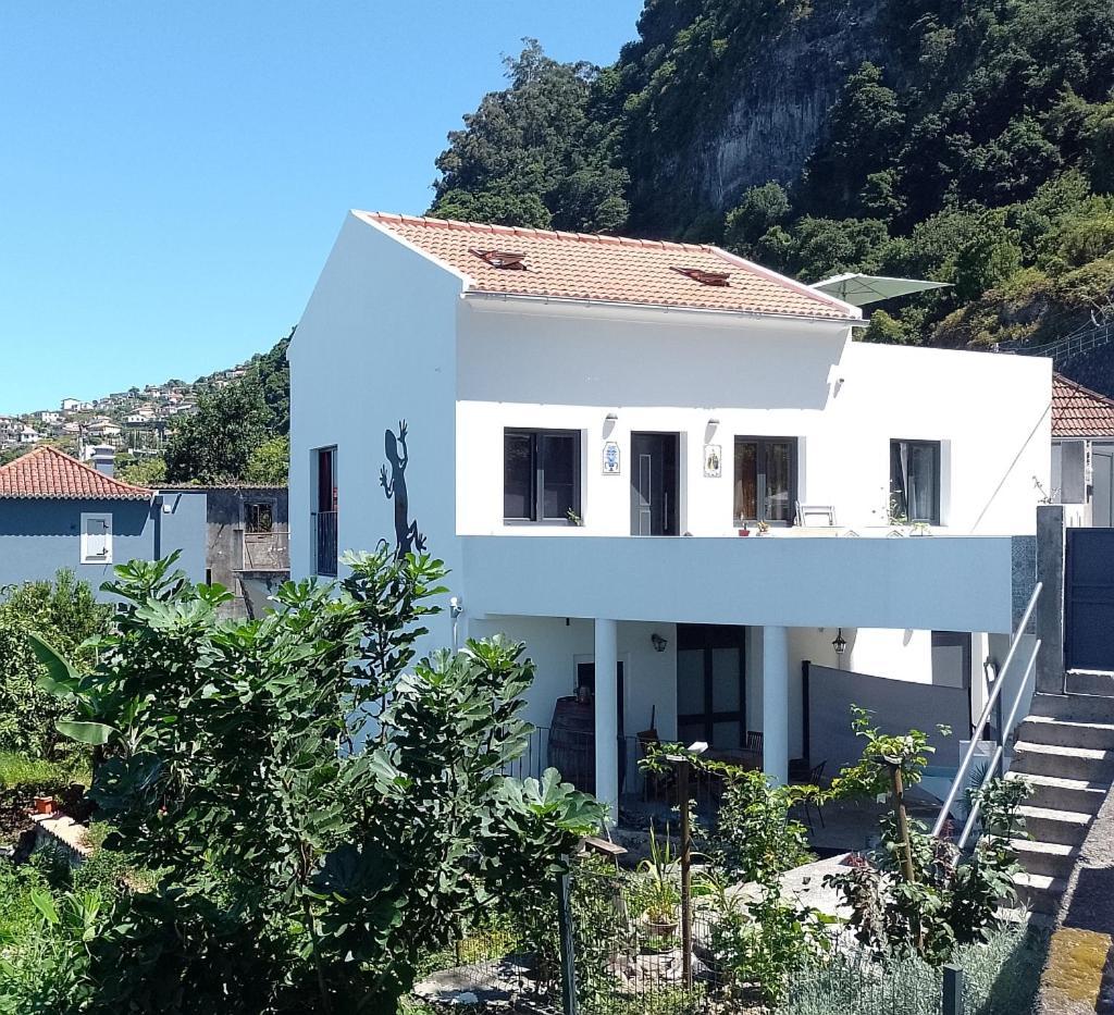 Lazy Lizard By The Ocean Seixal (Madeira) Exterior foto