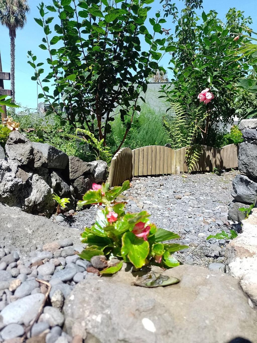 Lazy Lizard By The Ocean Seixal (Madeira) Exterior foto
